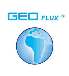 GEO FLUX