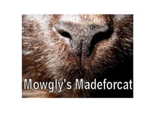 Mowgly's Madeforcat