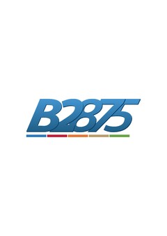 B2875