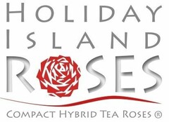 Holiday Island Roses Compact Hybrid Tea Roses