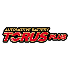 AUTOMOTIVE BATTERY TORUS PLUS