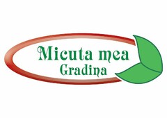 Micuta mea Gradina