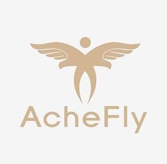 AcheFly