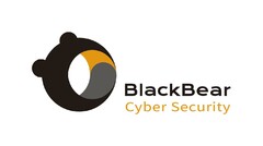 BlackBear Cyber Security