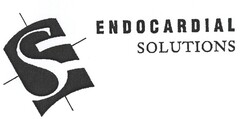 S ENDOCARDIAL SOLUTIONS