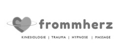 frommherz KINESIOLOGIE TRAUMA HYPNOSE MASSAGE