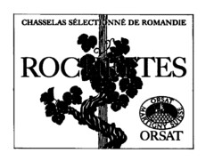 ROCHETTES CHASSELAS SÉLECTIONNÉ DE ROMANDIE ORSAT MARTIGNY SUISSE