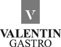 V VALENTIN GASTRO