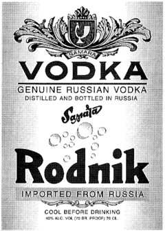 Rodnik