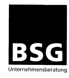 BSG Unternehmensberatung