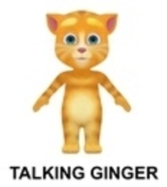 TALKING GINGER