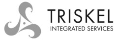 TRISKEL INTEGRATED SERVICES