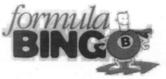 formula BINGO B