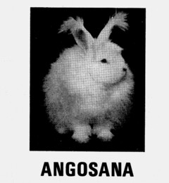 ANGOSANA