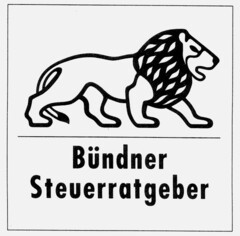 BUENDNER STEUERRATGEBER