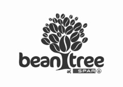 bean tree at SPAR