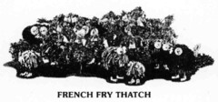 FRENCH FRY THATCH