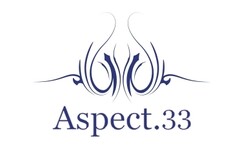 Aspect.33