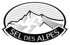 SEL DES ALPES