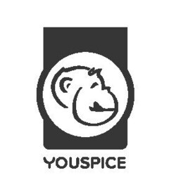 YOUSPICE