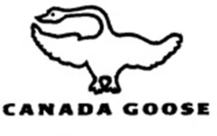 Canada Goose