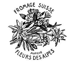 FROMAGE SUISSE FLEURS DES ALPES