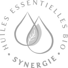 SYNERGIE HUILES ESSENTIELLES BIO