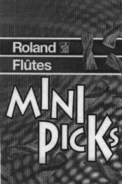 Roland Flûtes MINI PICKS