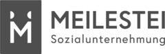 M MEILESTEI Sozialunternehmung