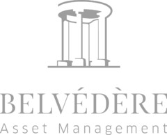 BELVÉDÈRE Asset Management