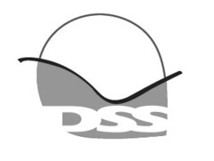 DSS