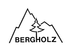 BERGHOLZ