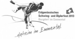 Eidgenössisches Schwing- und Älplerfest 2013 Burgdorf im Emmental ...daheim im Emmental. ((fig))