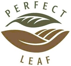 PERFECT LEAF