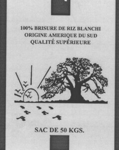 100% BRISURE DE RIZ BLANCHI ORIGINE AMERIQUE DU SUD QUALITÉ SUPÉRIEURE SAC DE 50 KGS