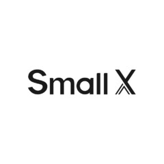 Small X