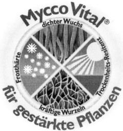 Mycco Vital für gestärkte Pflanzen dichter Wuchs Trockenheits-Resitenz kräftige Wurzeln Frosthärte