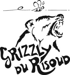 GRIZZLY DU RISOUD