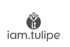 i.t iam.tulipe