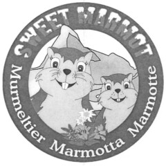 SWEET MARMOT Murmeltier Marmotta Marmotte