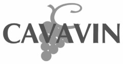 CAVAVIN