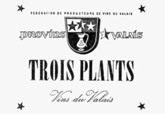 TROIS PLANTS Vins du Valais