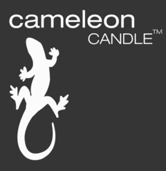 cameleon CANDLE