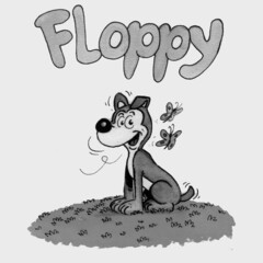 Floppy