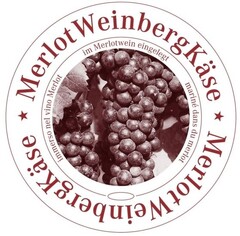 Merlot WeinbergKäse immerso nel vino Merlot im Merlotwein eingelegt mariné dans du merlot