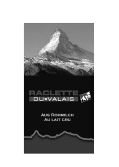 RACLETTE DU VALAIS AOP AUS ROHMILCH AU LAIT CRU