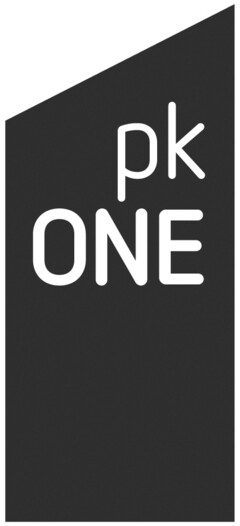 pk ONE