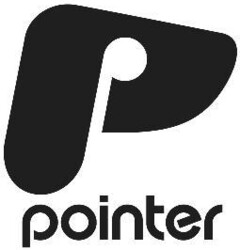 P pointer