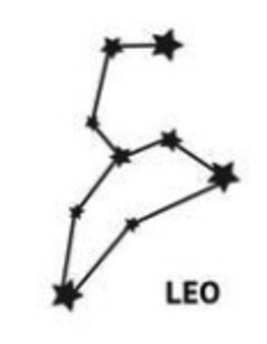 LEO