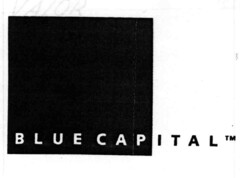 BLUE CAPITAL